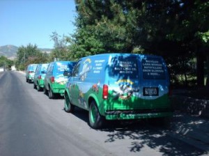 Blue and green vans lined up behind each other on a road